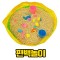 홈플레이 대여 11.편백놀이